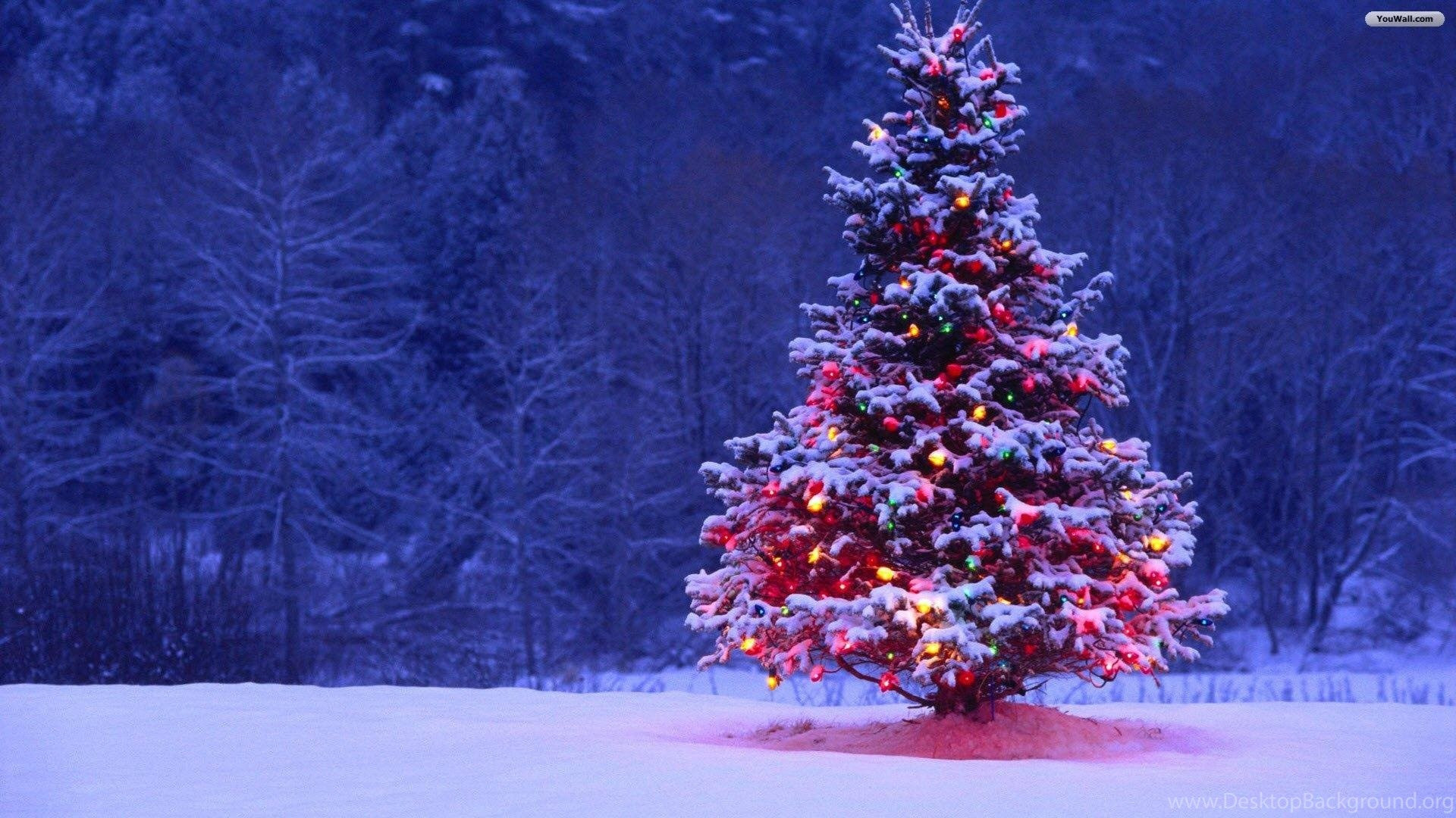 321copy.test